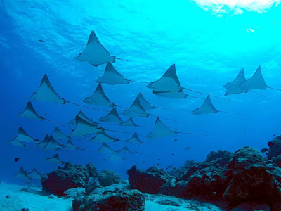 Top Spots to shoot Spectacular Photos in Komodo National Park