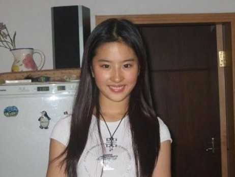 Aktris Cantik Pemain Film Asia versi Ane - Liu Yifei