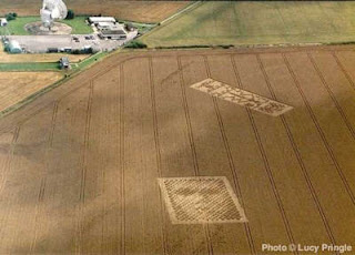 Crop Circle menurut Ahli Fisika Richard Taylor - Pergerakan seni yang paling berorien