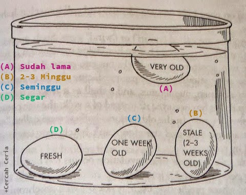 Ini Cara Mengetahui Telur yang Sehat
