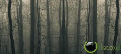 10 Rumah Sakit Angker dan paling Menakutkan di Dunia