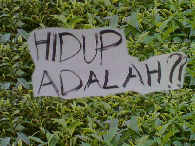 Apa Yang Kau Inginkan dari Hidupmu ?