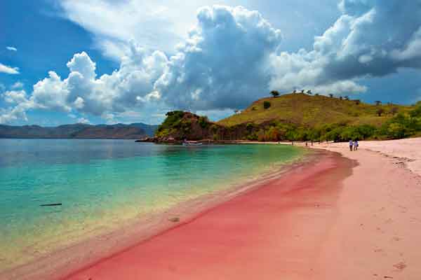 Indah Banget gan Pantai Pink di Pulau Komodo