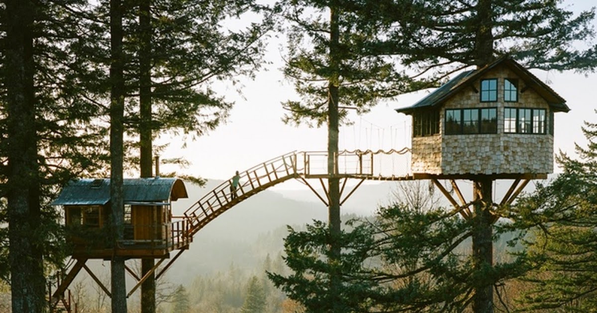 The Cinder Cone Treehouse: Rumah Pohon yang Nyaman di Tengah Alam