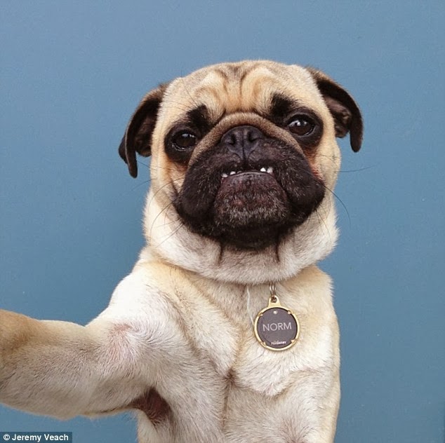 FOto Selfie Gokil