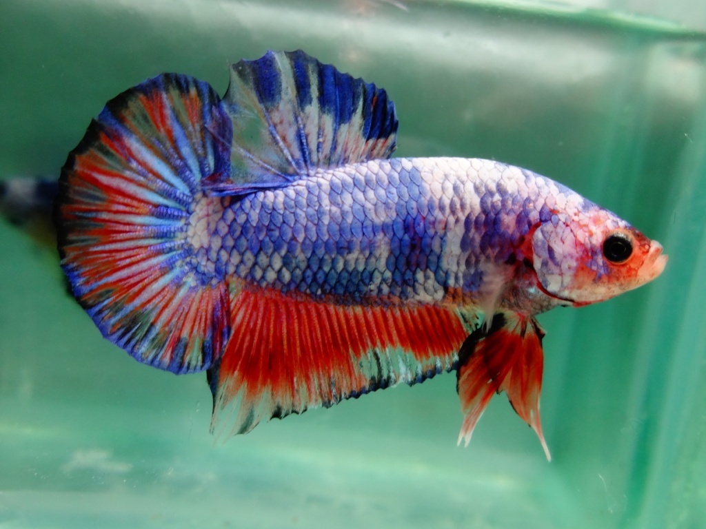 new-lounge-regional-kalimantan-timur--2013-keep-posting