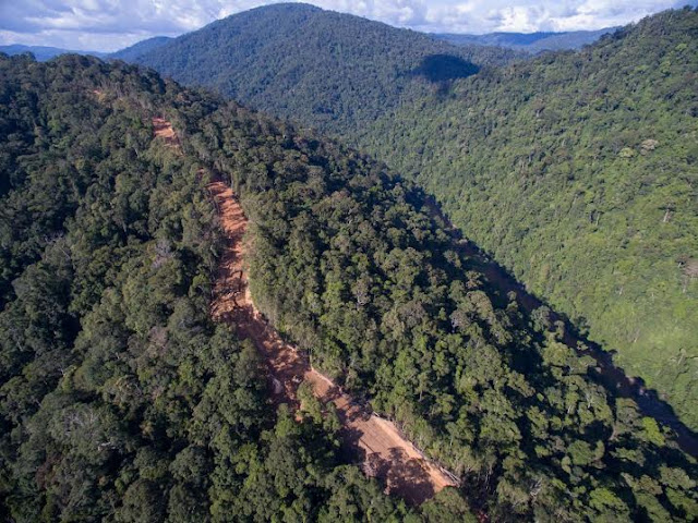 Lagi Hot, Jokowi katanya korbankan hutan utk jalan