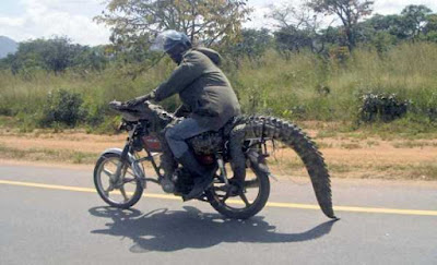 &#91;GagsLibrary&#93; Kompilasi Gambar dan GIF Konyol (EXTREME RIDERS PART 2)
