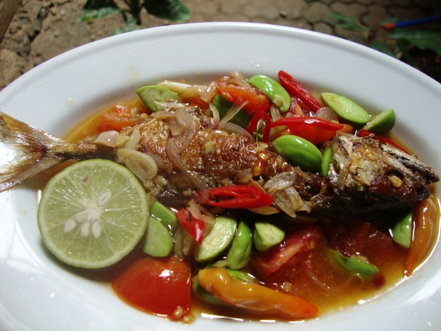 taminaya---etam-lamin-bebaya