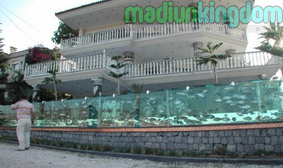 Seorang Pengusaha Mengganti Pagar Villa Dengan Sebuah Aquarium