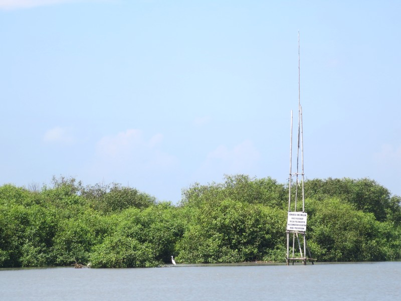 Pulau Sarinah, Pulau Hasil Endapan Lumpur Sidoarjo