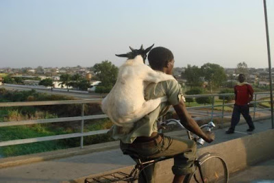&#91;GagsLibrary&#93; Kompilasi Gambar dan GIF Konyol (EXTREME RIDERS PART 2)