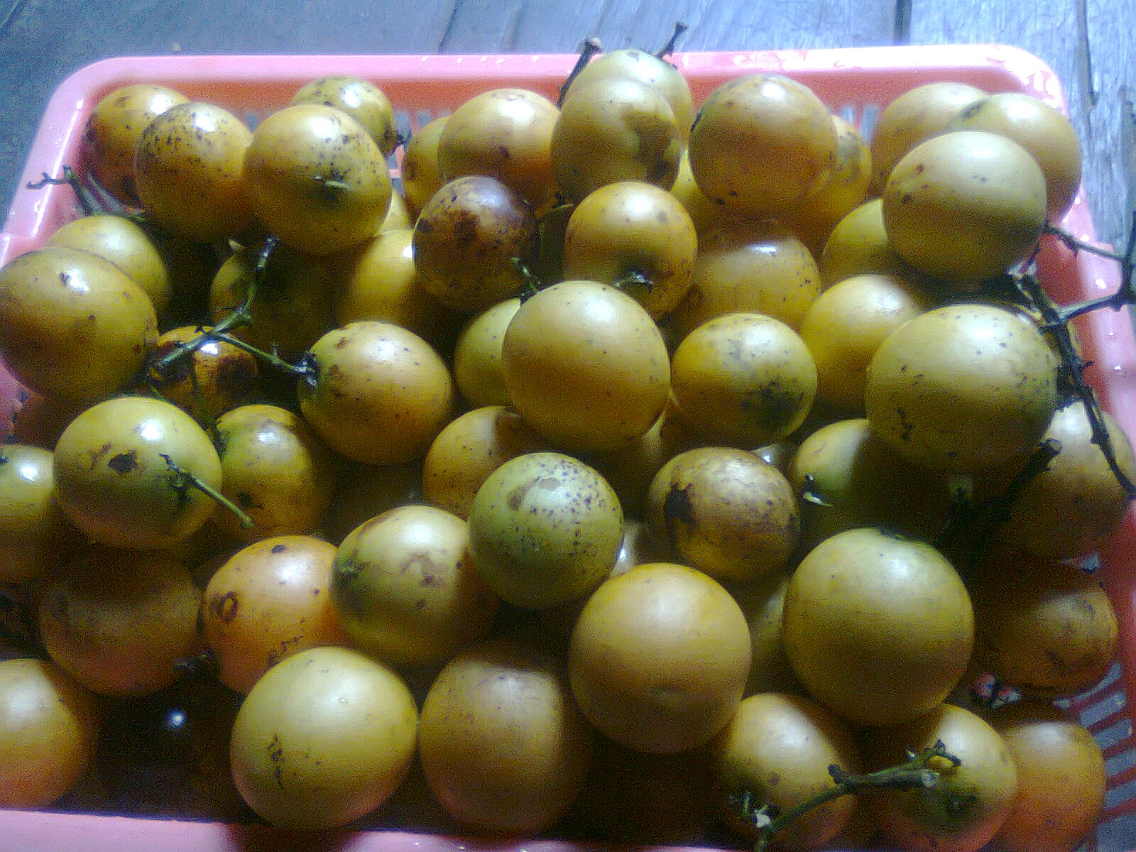 Favorit! Buah Dari Hutan Kalimantan Ini Sudah Mulai Langka! 