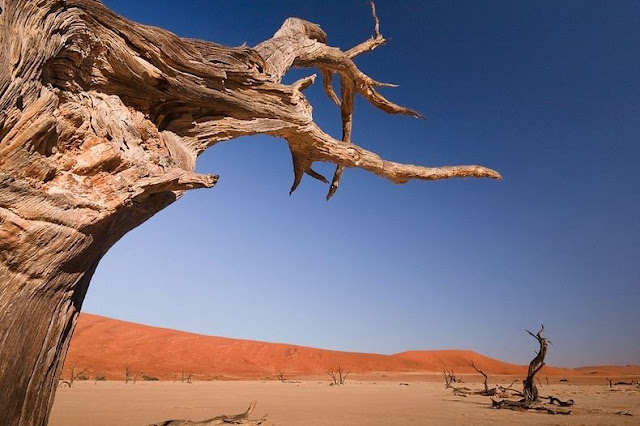 Lanskap Aneh Deadvlei Namibia
