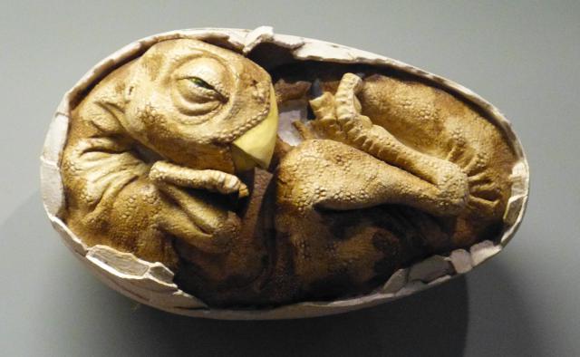 10 Fakta tentang Dinosaurus