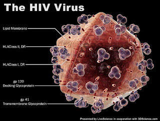Ternyata Penyakit yang Paling Mematikan Bukan HIV !