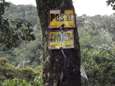 &quot;Sang Tanjakan Tiada Ampun&quot; Cikuray 