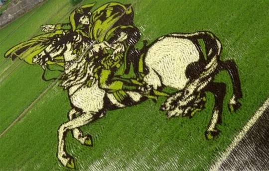 MELUKIS SAWAH SENI UNIK DARI JEPANG