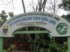 Yuuuk... Mengenal Nama&quot; Kebun Binatang di Indonesia &amp; Penjelasan nya !!