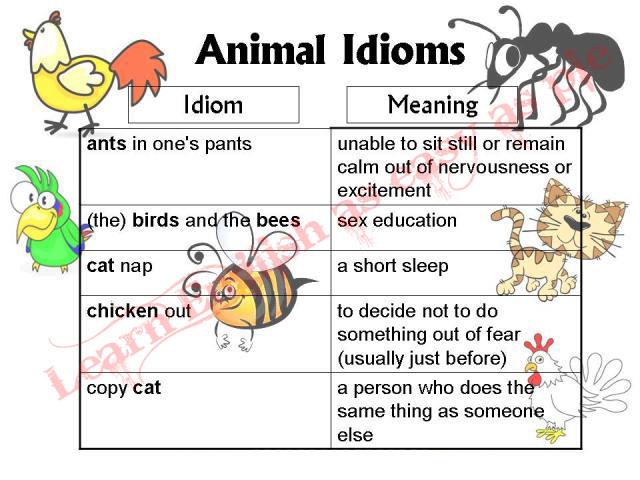  MENGHAPAL BEBERAPA VOCABULARY BAHASA INGGRIS SEKALIGUS DENGAN IDIOM