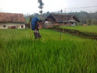 Cerita-cerita pendakian Gunung Rakutak