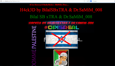 Serangan 7 April 2013 Anonymous Hacker ke Israel - OpIsrael, Operasi kepada Internet 