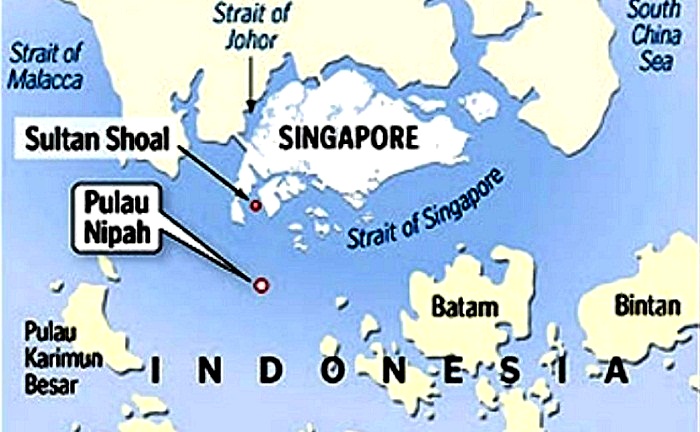 Ini Potensi Indonesia-Singapura Jadi Twin Engine Kekuatan Ekonomi Asia