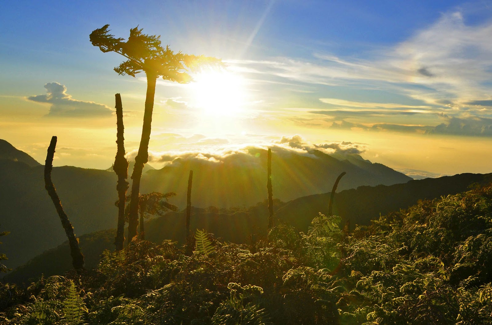 7 Puncak Tertinggi di Indonesia (The Seven Summits ala Indonesia)