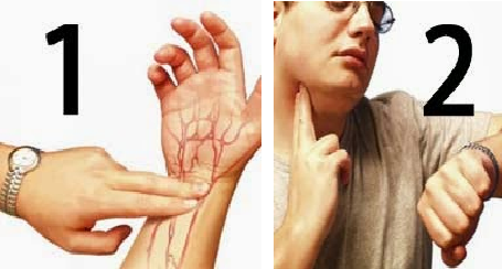 Fakta Ilmiah tentang Penyakit Jantung