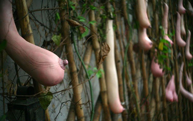 buah beneran yang sexy bb++