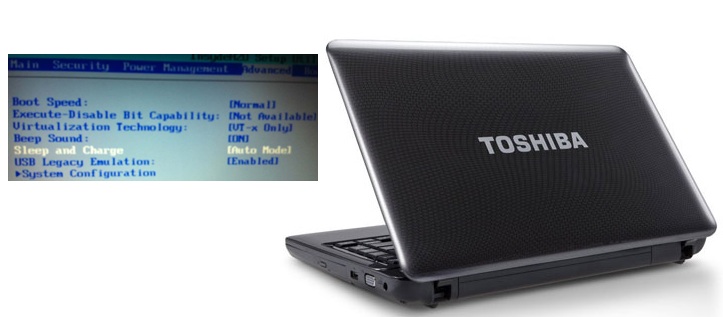 MASUK KE BIOS THOSIBA SETELAH MENGGANTI MODE BOOT MENJADI FAST