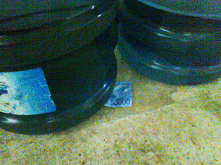Prank: Satu monyet kena tipu!