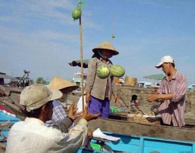 Koleksi Foto Asli yang Menarik Untuk Dilihat 