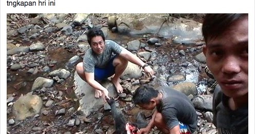 heboh-foto-beruang-disembelih-beredar-di-fb