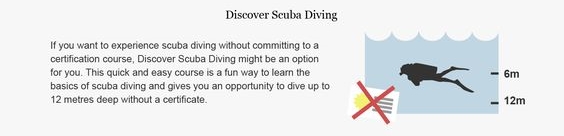Suka Diving atau Snorkelling ? Yuk Kenali Perbedaannya