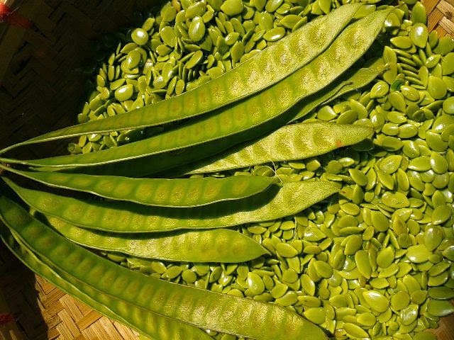 terminal-kedatangan-hanya-tenda-inilah-7-bandara-terburuk-di-dunia