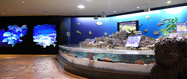 Akuarium Churaumi Okinawa Jepang: Akuarium terbesar ke-2 di dunia