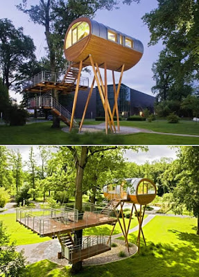 Rumah-Rumah di Atas Pohon (pic)