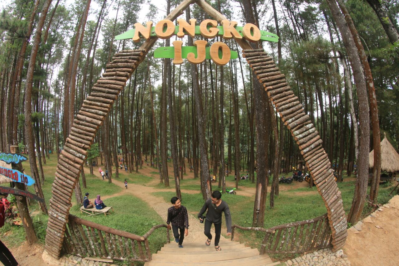 6 Rekomendasi Hutan Pinus Kece untuk Akhir Pekan Bersama Keluarga 