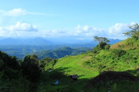 Berwisata di Atas Awan Pango-Pango, Indonesia 