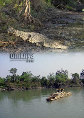 5 Pulau yang di takuti oleh wisatawan di seluruh DUNIA, Ceck it OUT !