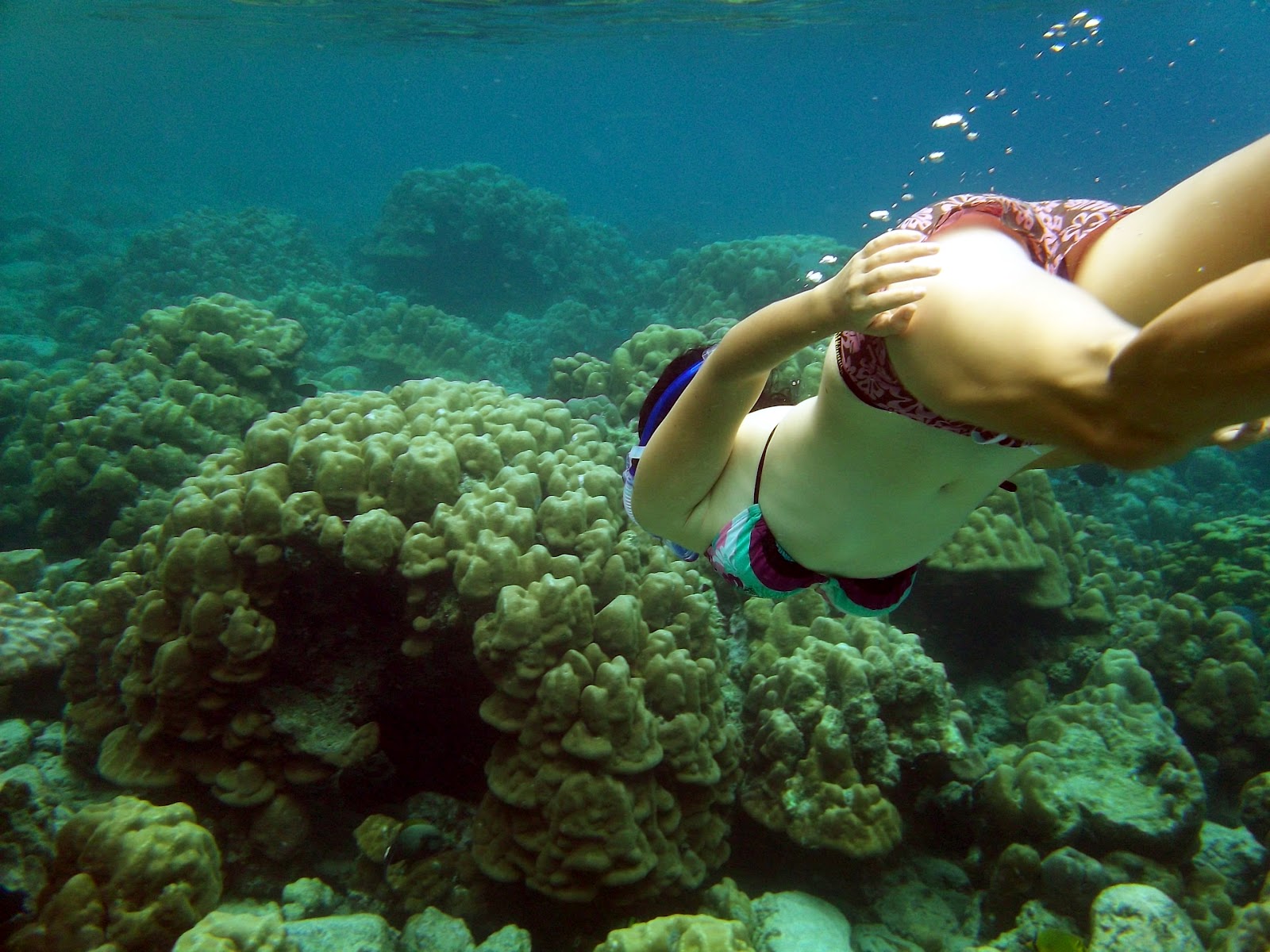 5 Diving Spot Paling Indah Di Indonesia