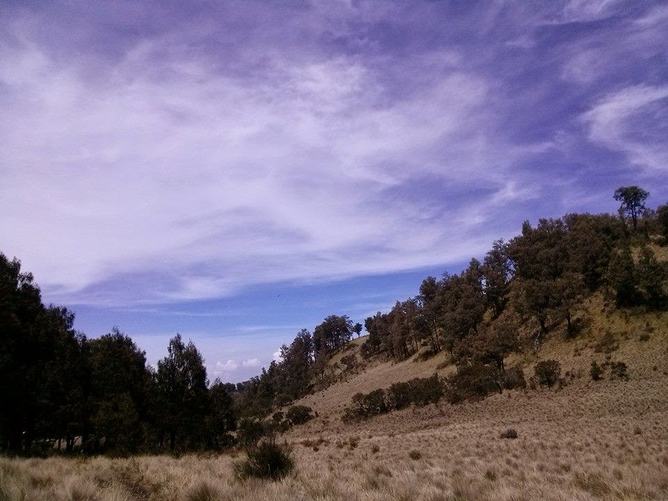 Jalur Pendakian Gunung Lawu Via Cetho