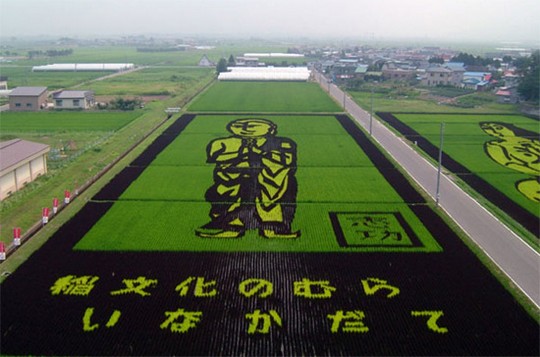 16 PEMANDANGAN SAWAH TERINDAH DI JEPANG GAN!! WAJIB MASUK
