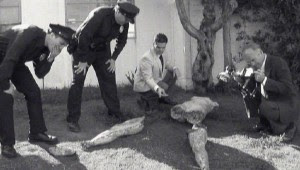 10 Kasus Pembunuhan Misteri 