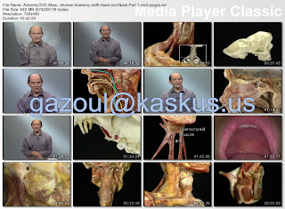 Video Kedokteran