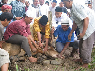 Dibalik Pembunuhan Yang kerap terjadi (NGAKAK)