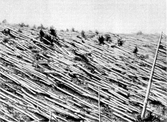 10 Bencana Alam yang Paling Aneh dalam Sejarah