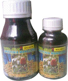 Jual Madu Herbal untuk Berbagai Macam Penyakit