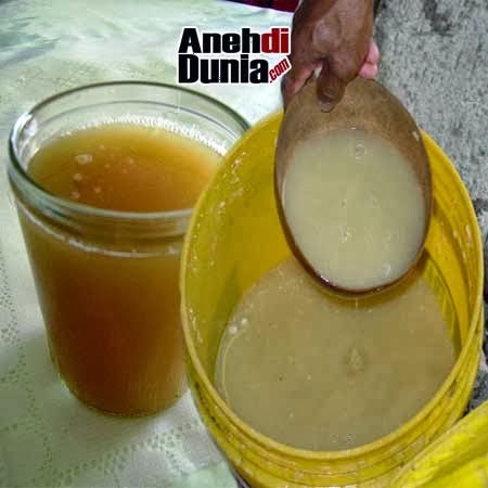4 Minuman Keras Dengan Bahan Paling Aneh Di Dunia
